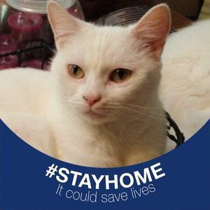 Meet your Posher, Victoria